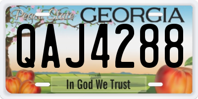 GA license plate QAJ4288