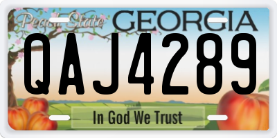 GA license plate QAJ4289
