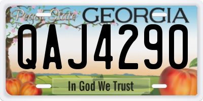 GA license plate QAJ4290