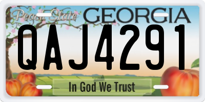 GA license plate QAJ4291