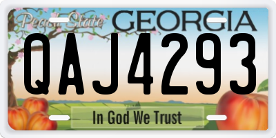 GA license plate QAJ4293