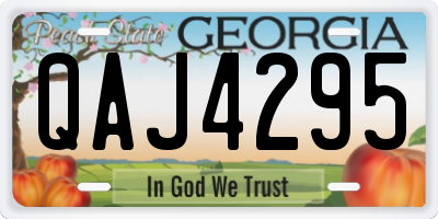 GA license plate QAJ4295