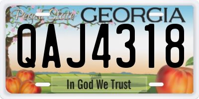 GA license plate QAJ4318