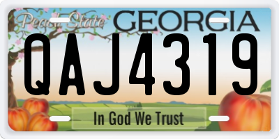 GA license plate QAJ4319