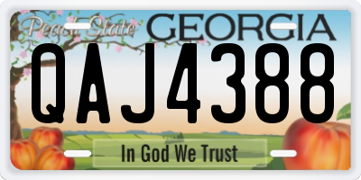 GA license plate QAJ4388