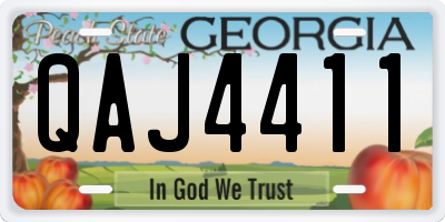 GA license plate QAJ4411