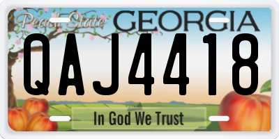 GA license plate QAJ4418