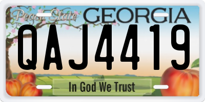 GA license plate QAJ4419