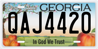 GA license plate QAJ4420