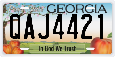 GA license plate QAJ4421