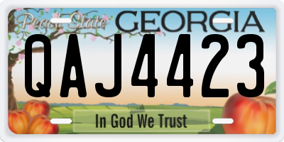 GA license plate QAJ4423