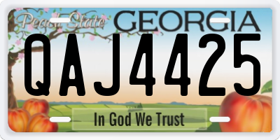 GA license plate QAJ4425