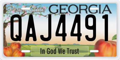 GA license plate QAJ4491