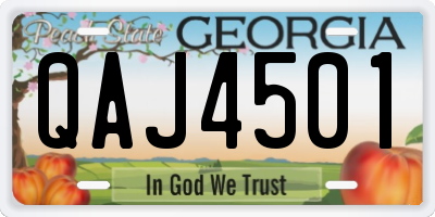 GA license plate QAJ4501