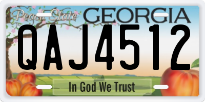 GA license plate QAJ4512