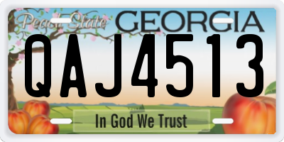 GA license plate QAJ4513