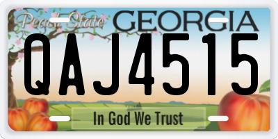 GA license plate QAJ4515