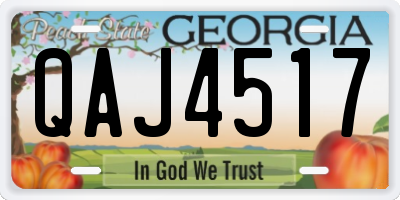 GA license plate QAJ4517