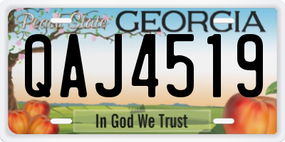GA license plate QAJ4519