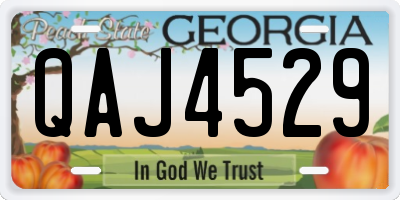 GA license plate QAJ4529