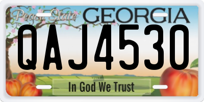 GA license plate QAJ4530