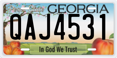 GA license plate QAJ4531