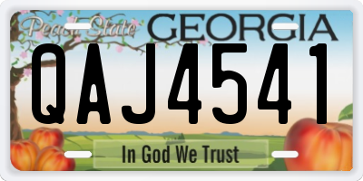 GA license plate QAJ4541