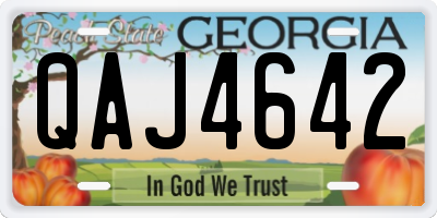 GA license plate QAJ4642