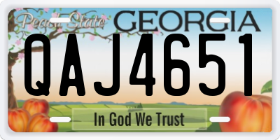 GA license plate QAJ4651