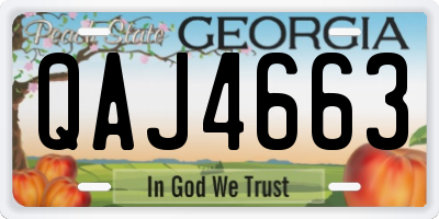 GA license plate QAJ4663