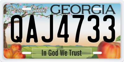 GA license plate QAJ4733