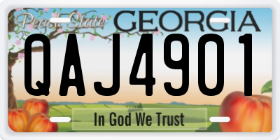 GA license plate QAJ4901