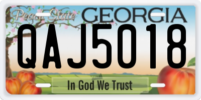 GA license plate QAJ5018