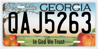 GA license plate QAJ5263