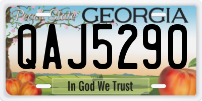 GA license plate QAJ5290
