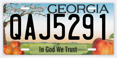 GA license plate QAJ5291