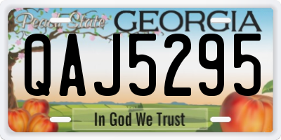 GA license plate QAJ5295