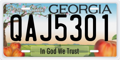 GA license plate QAJ5301