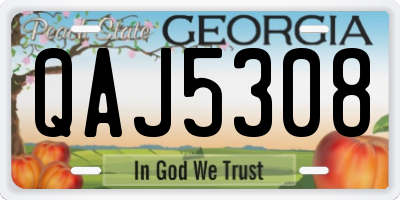 GA license plate QAJ5308