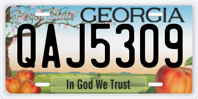 GA license plate QAJ5309