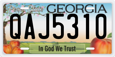 GA license plate QAJ5310