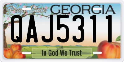 GA license plate QAJ5311