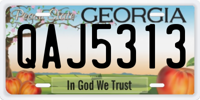 GA license plate QAJ5313