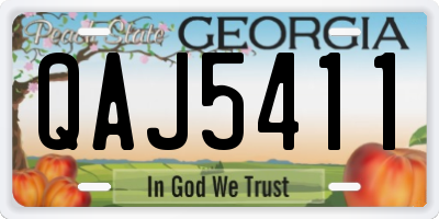 GA license plate QAJ5411