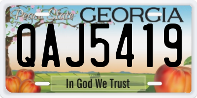 GA license plate QAJ5419