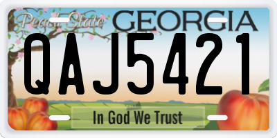 GA license plate QAJ5421
