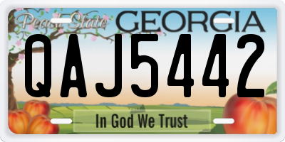 GA license plate QAJ5442