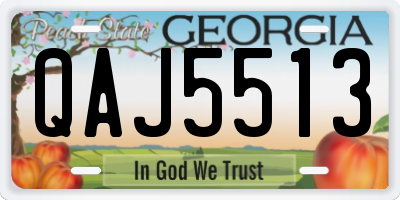 GA license plate QAJ5513