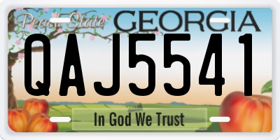 GA license plate QAJ5541