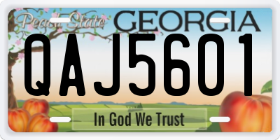 GA license plate QAJ5601